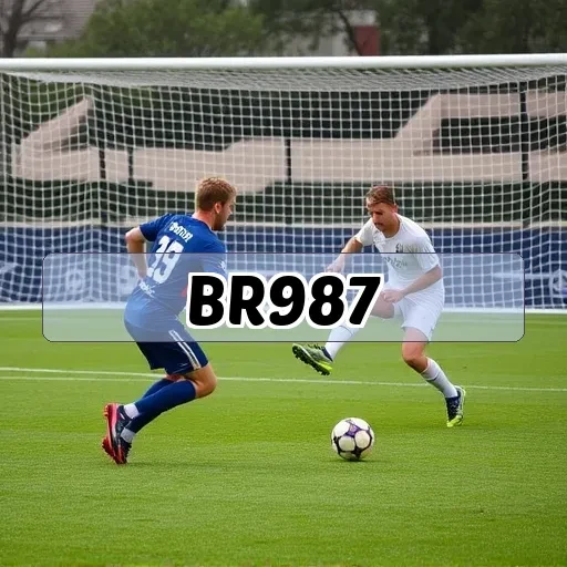 br987.com Bingo online